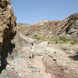 IMG_8849.JPG