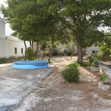 IMG_8877.JPG