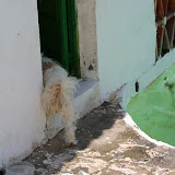 IMG_8814.JPG