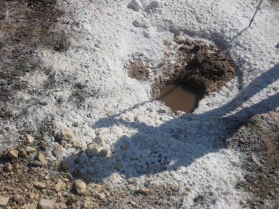  Font de les Salines, 3ª Font del Mes