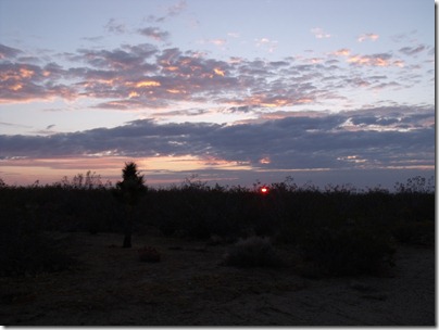 pics 026