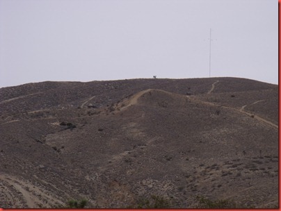 pics 024