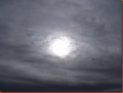 pics 029