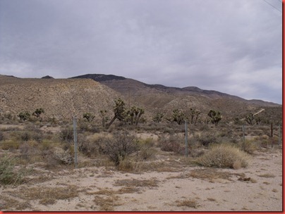 pics 032