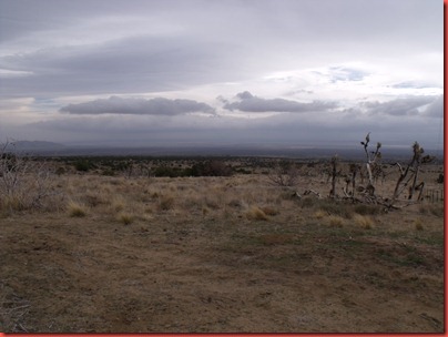 pics 039