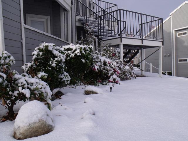 [snowwknd 028[3].jpg]