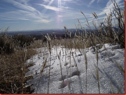 pics 006