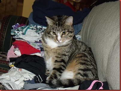 pics 001