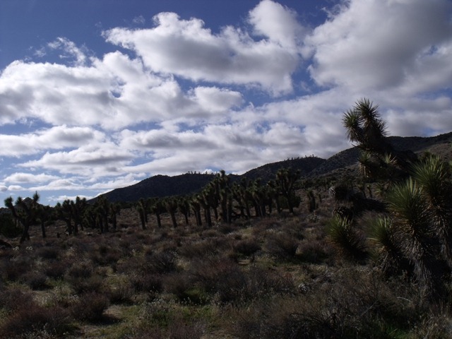 [pics-0323.jpg]