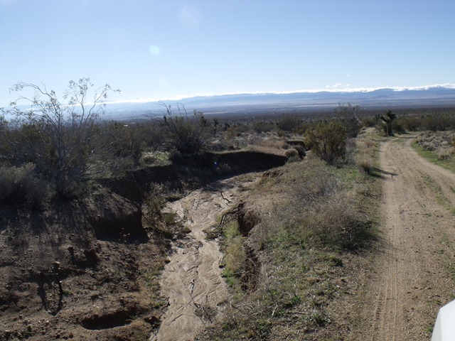 [pics-0163.jpg]