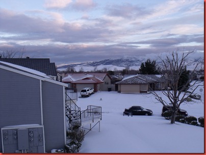 snowday 006