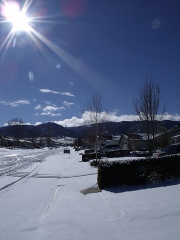 [snowday 037[5].jpg]
