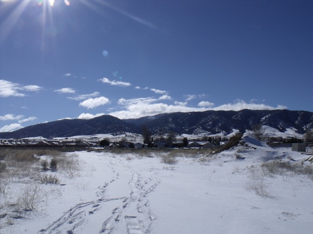 [snowday 035[3].jpg]