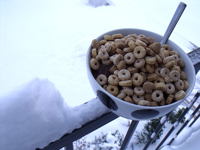 [snowday 001[5].jpg]