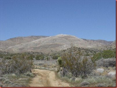 pics 008
