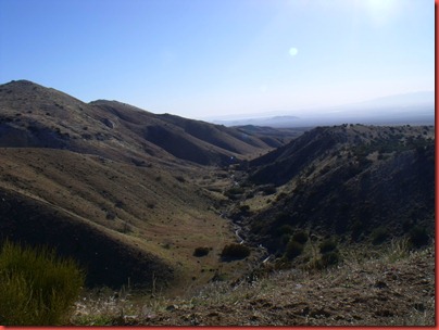 pics 009