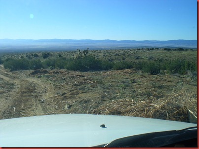 pics 004