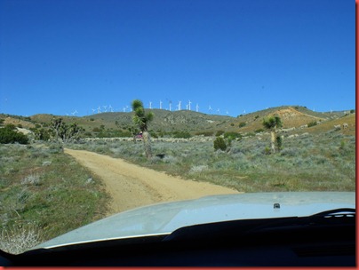 pics 008