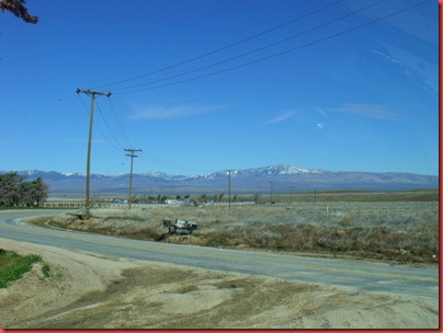 pics 013