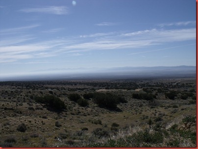 pics 007