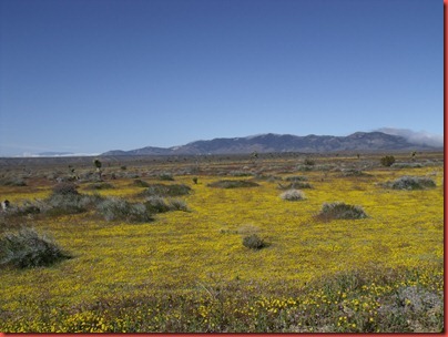 pics 008