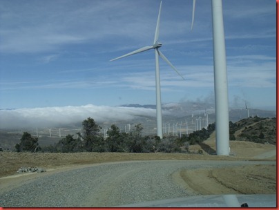 pics 015