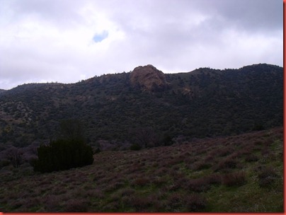 pics 014