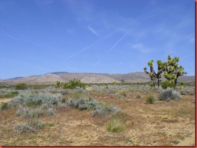 pics 013