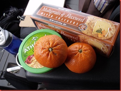 pics 011