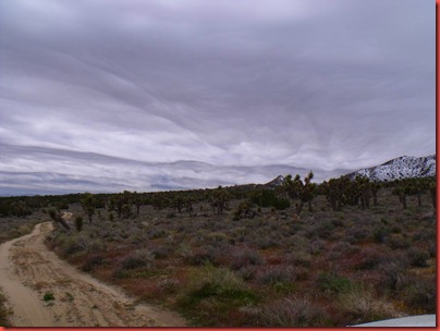 pics 014