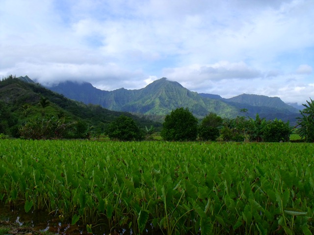 [kauai-0164.jpg]