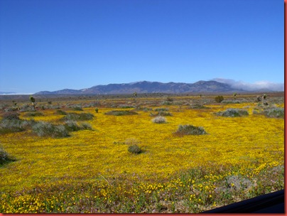 pics 009