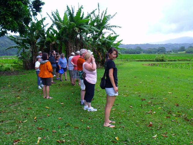 [kauai-0168.jpg]