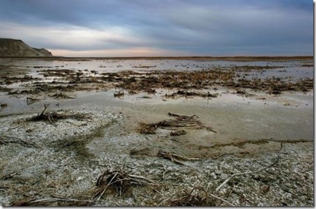 Aral_Sea7