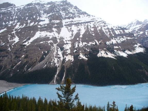 [clip_image0063.jpg]