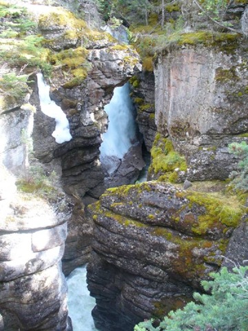 [clip_image0103.jpg]