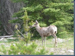 clip_image008