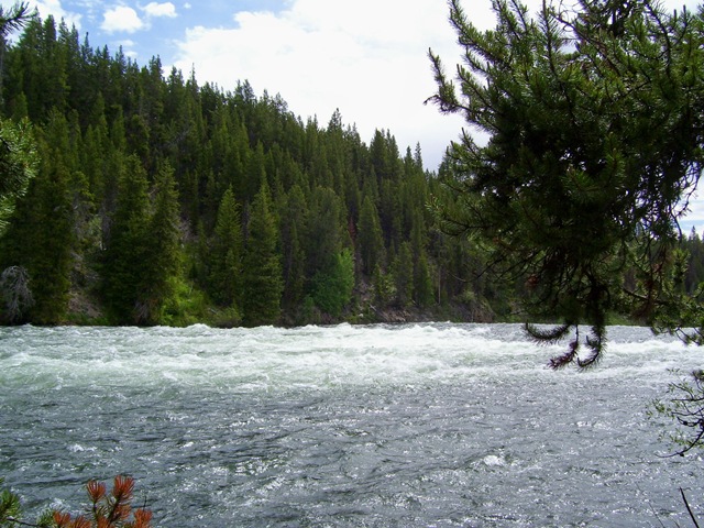 [rapids12.jpg]