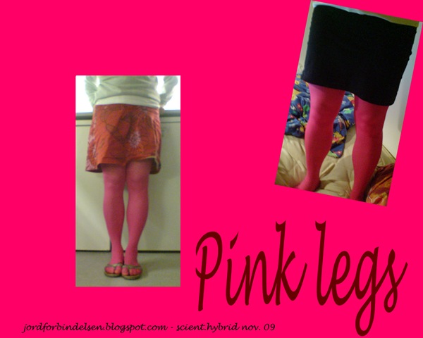 [pink legs nov 09[6].jpg]