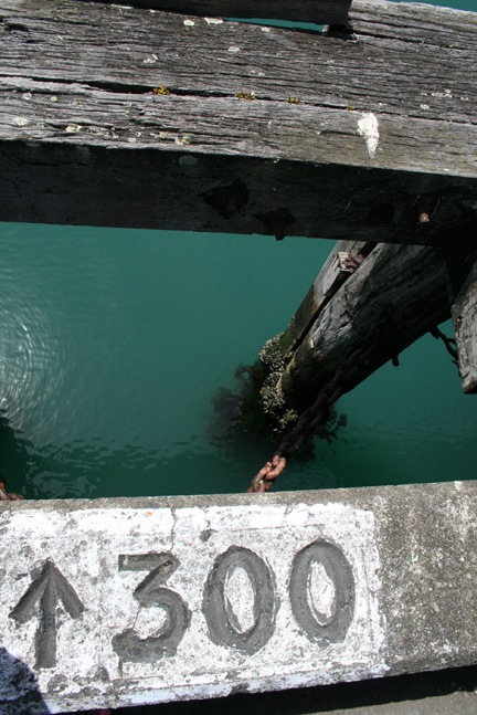 [November 662[2].jpg]