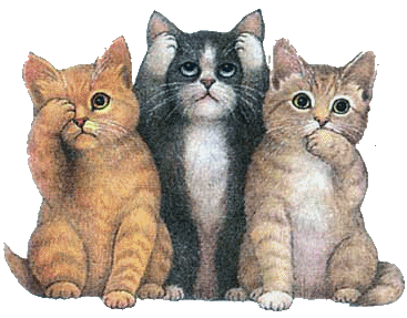 3kedi