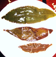 hong shui leaves vs qingxin1