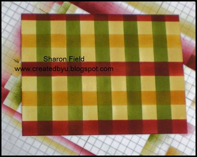 12a_plaid_cbyu
