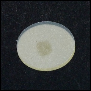 P1000217