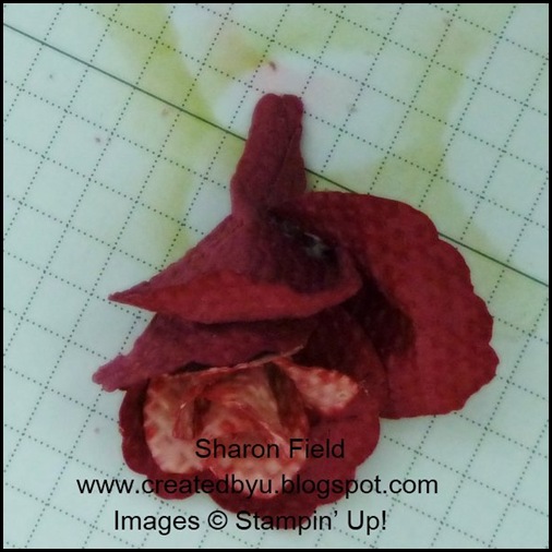 P1010592