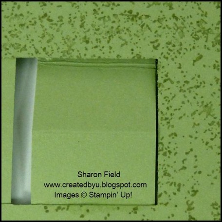 Shop Online, Double Pop Up Slider, Card, Tutorial by Sharon Field