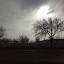 DSC_0556.jpg