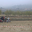 DSC_0542.jpg