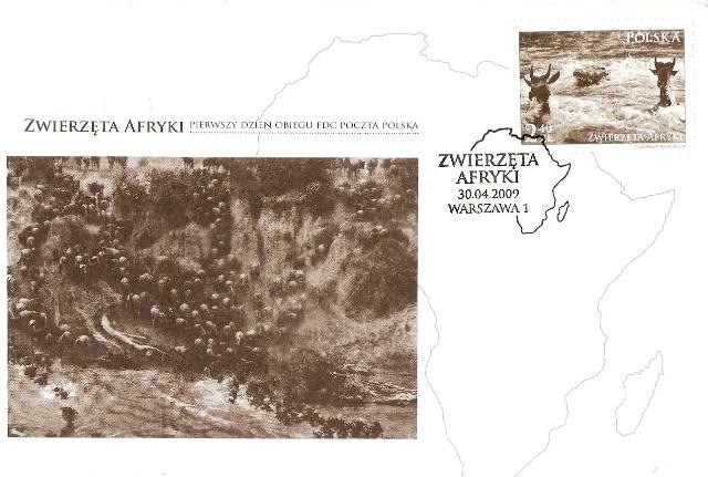 [Picture 041[23].jpg]