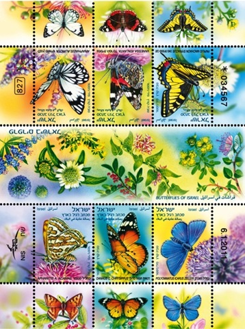 [butter26.jpg]